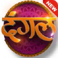 Dangal TV APK 2021 APK